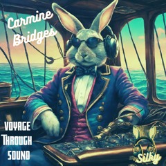 Carmine Bridges - Voyage Through Sound (Mr Silky's LoFi Beats)