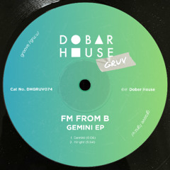FM From B - Gemini
