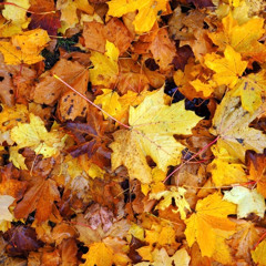 I can't believe it's ANOTHER November mix!