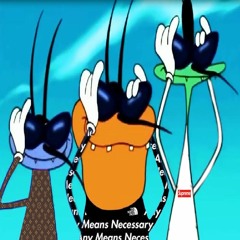 Oggy And The Hoodroaches