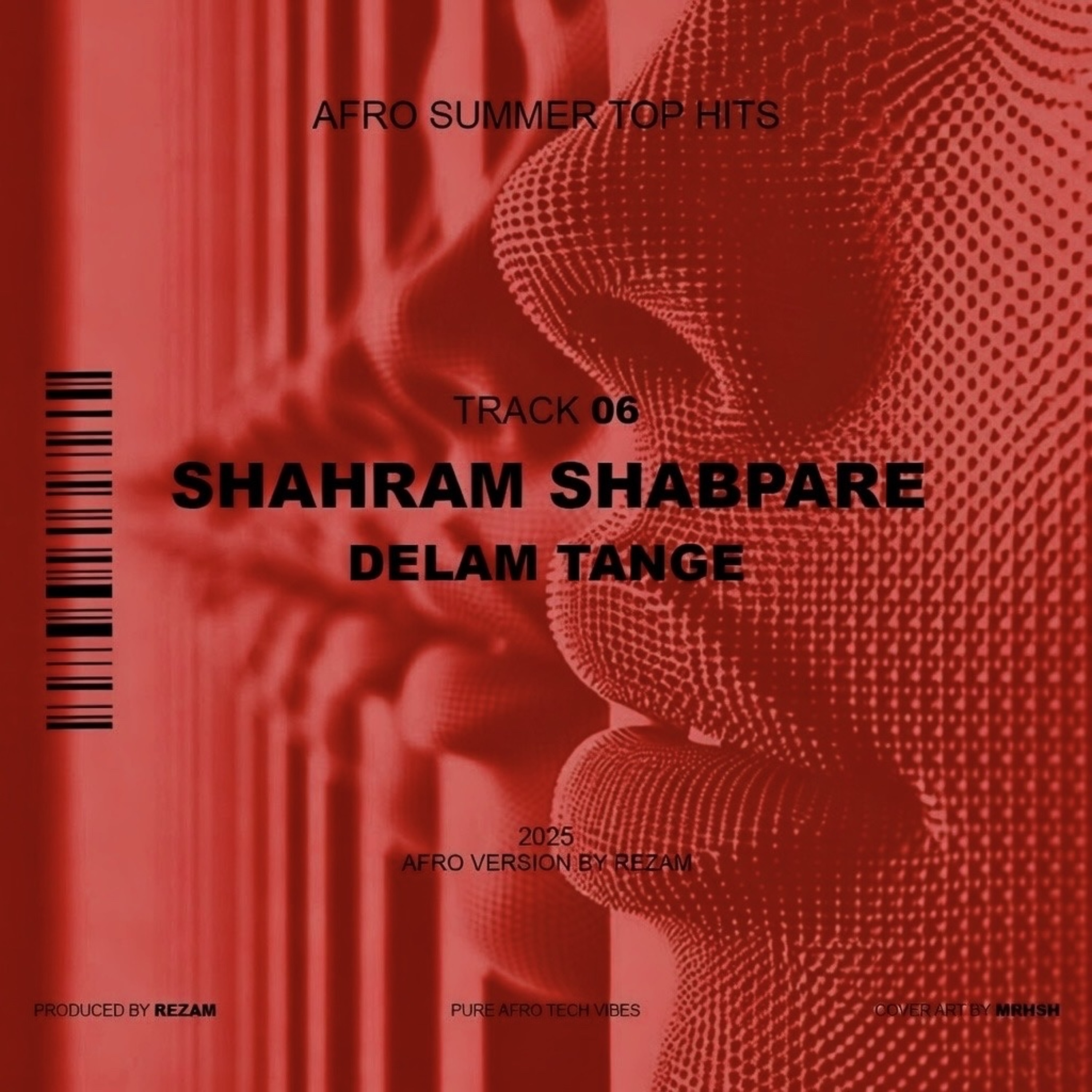 6.Shahram Shapare-Delam Tange ( REZAM AREO VERSION )