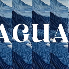 agua - 2 de enero