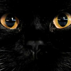 Deep Progressive House #1