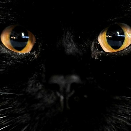 Deep Progressive House #1