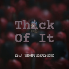 DJ Shredder - Thick of it