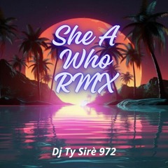 She A Who Rmx Dj Ty Sirè 972 (Preview)