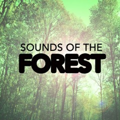Sounds Of The Forest