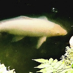 Vague Intent -rough idea