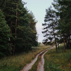 a dream within a dream