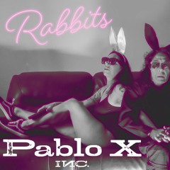 Pablo X Inc - Seep