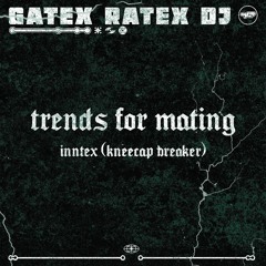 PREMIERE: Gatex Ratex DJ - INNTEX (Kneecap Breaker) [712]