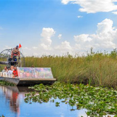 Best Fun Things To Do In Southwest Florida Tours Reviews
