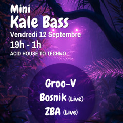 Mini Kale Bass (Techno)