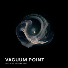 Vacuum Point (Original Mix)