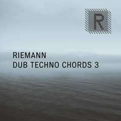 Riemann Dub Techno Chords 3 (Sample Pack Demo Song)