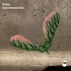 Shaping - Small Instrumental Eyes
