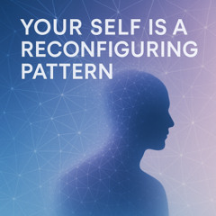 Your Self Is a Reconfiguring Pattern [free download]