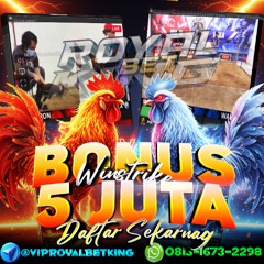 Sabung Ayam Online Royalbetking