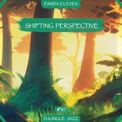 DJ #030 ~ Shifting Perspective ➳ by Einida Eleven