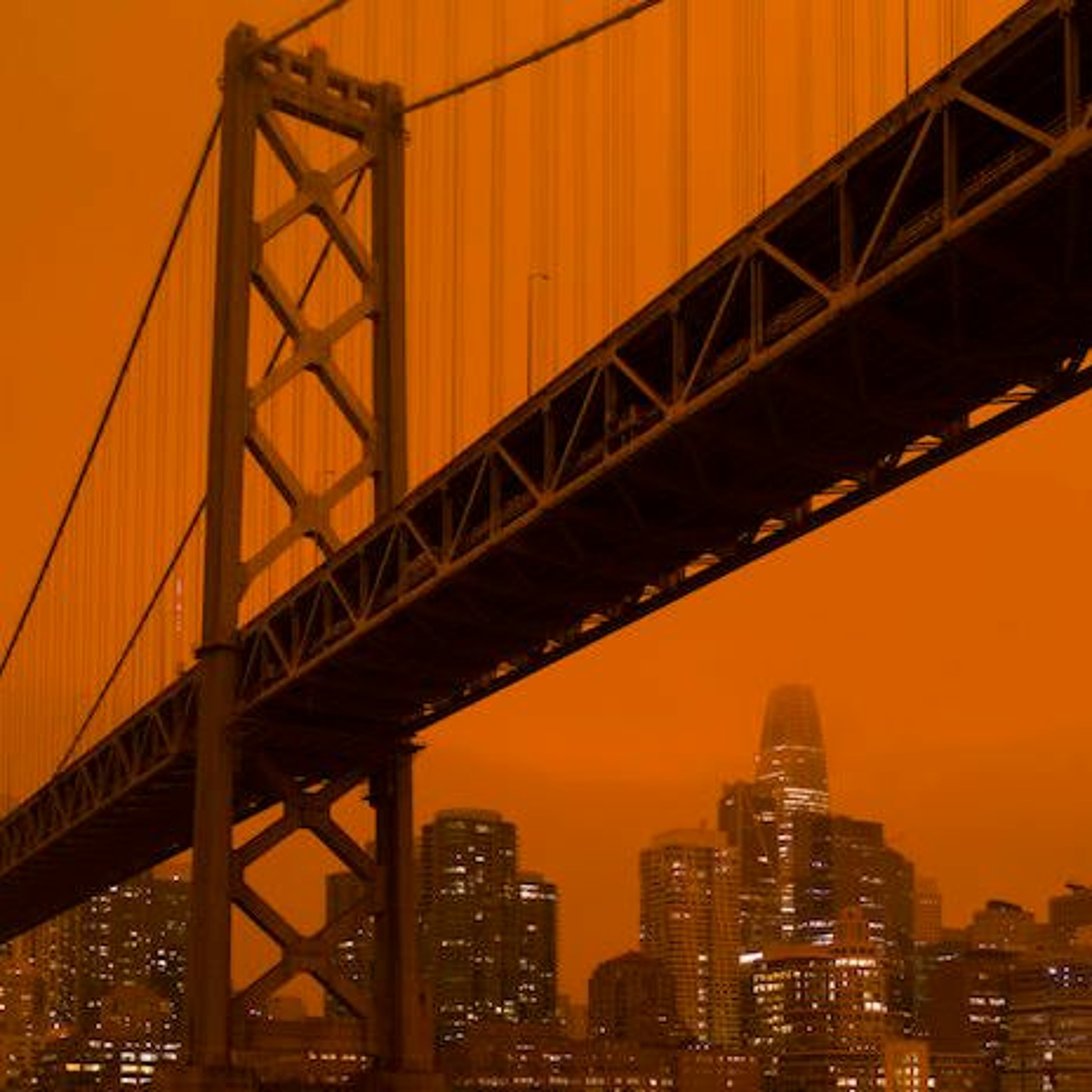 What Are The Long-Term Health Effects Of Breathing In All This Wildfire Smoke? episode artwork