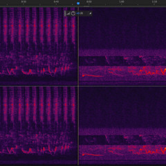 051725 122am strange calls edited