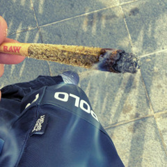 extra hachi - PascuOne, 2005SB