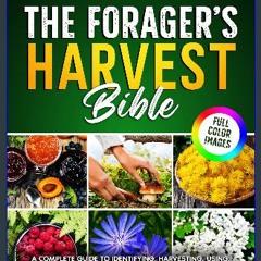 [Ebook] 📖 The Forager’s Harvest Bible: A Complete Guide to Identifying, Harvesting, Using, and Pre