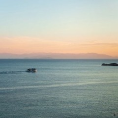 SARONIC
