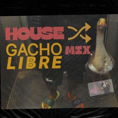 House Mix - 1