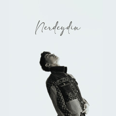 Nerdeydin