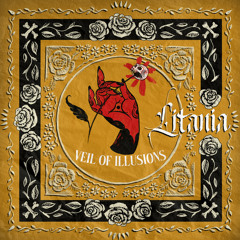 Veil of illusions
