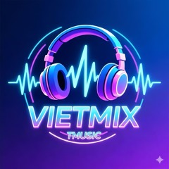 ( V9 ) FULL TRACK VIETMIX HOT TREND TIKTOK 2025 - T MUSIC