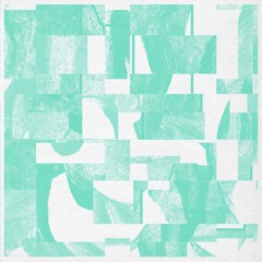 PREMIERE: Practitioner - Journal [Lissoms]