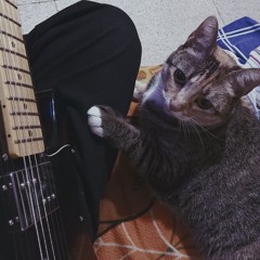 La calesita de la plaza rocha.m4a