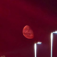 bloodmoon beat clips 2k25