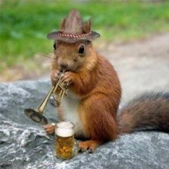 Squirrel Politics