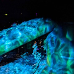 SYNPHORYA  - COSMIC FANNY