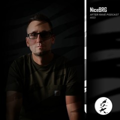 After Rave Podcast #003 - NiceBRG