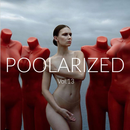 POOLARIZED Vol.13 by MichaelV