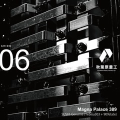 AHIDG06 - Magna Palace 309