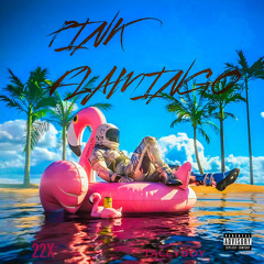 22x -Pink Flamingo