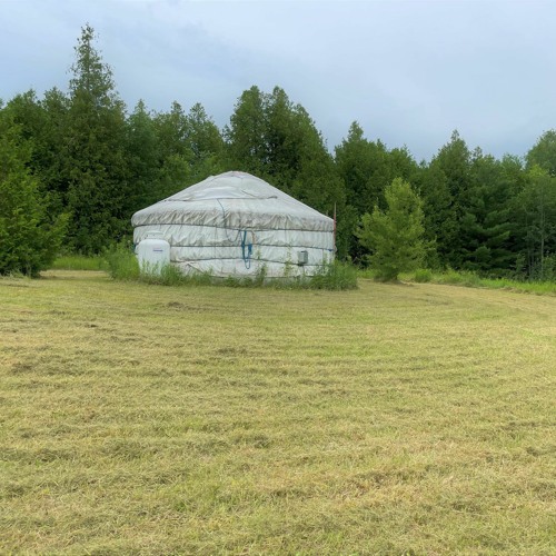 Live At "Move With The Earth" (July 29, 2023 ecstatic dance at Here On Earth, Norwood, Ontario)