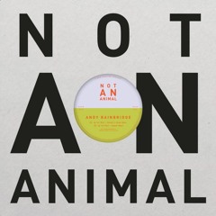 PREMIERE: Andy Bainbridge - Up Too Much (Donalds House Remix) [Not An Animal]