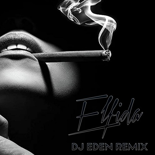 DNDM & Hilola Samirazar - Elfida (DJ Eden Remix)