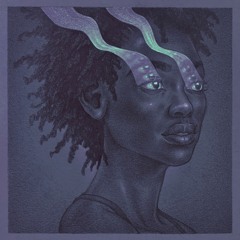 Optical Sliding Remixes Compilation