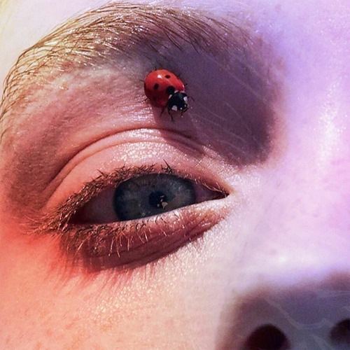 Ladybug Boy