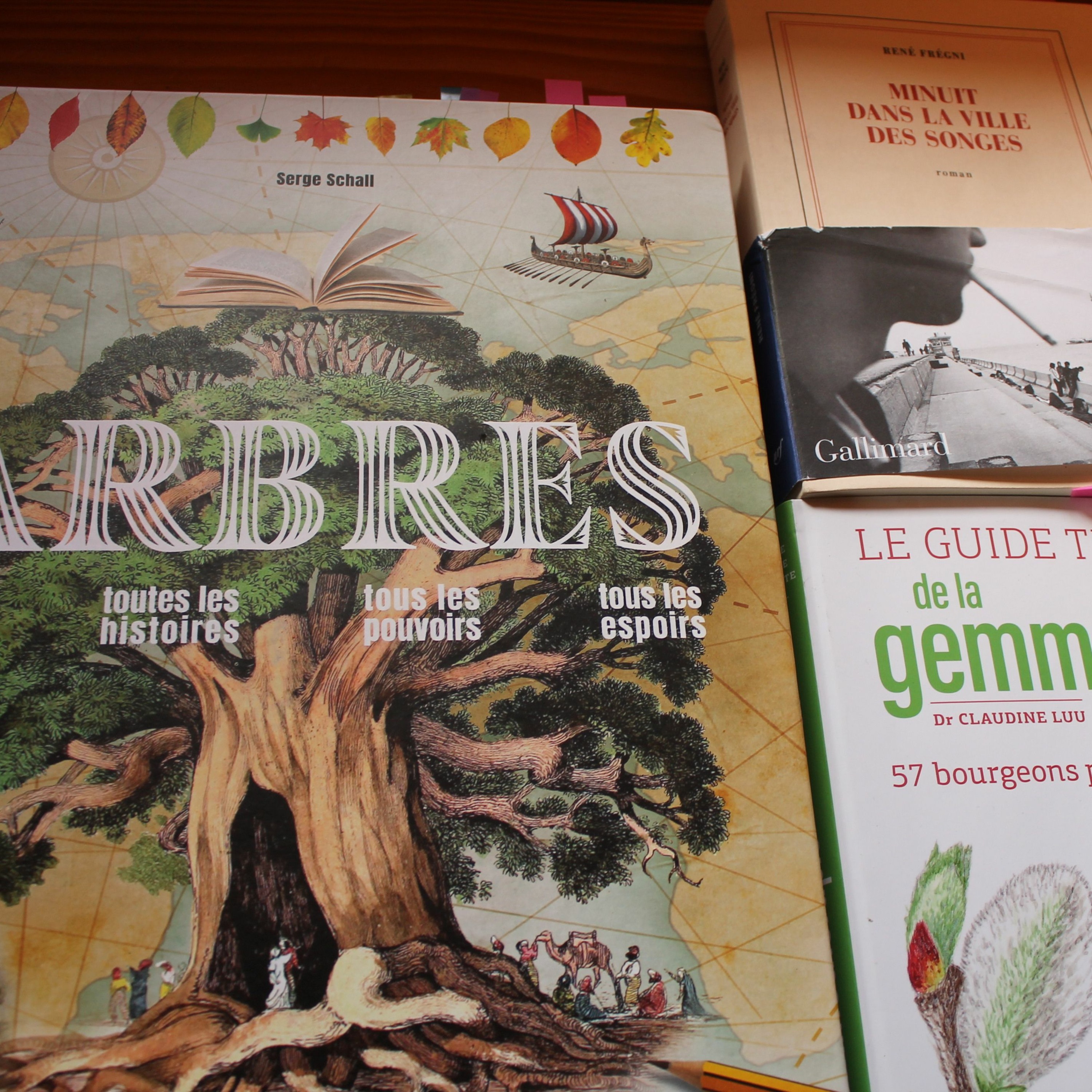 J'ecrirai Des Soleils 20