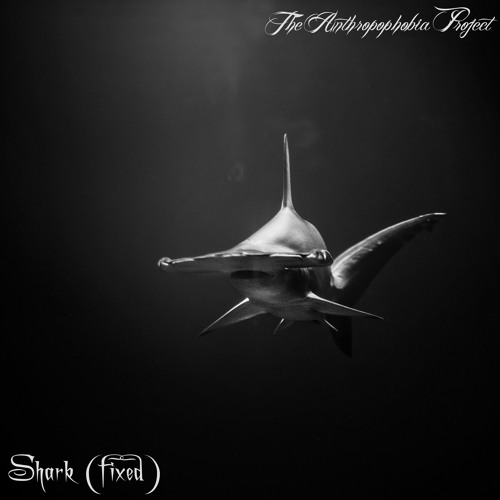 Shark (Fixed)