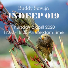 Buddy Suwijn INDEEP 019 Apr 2020 @ PROTON RADIO