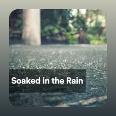 Clarity in the Rain